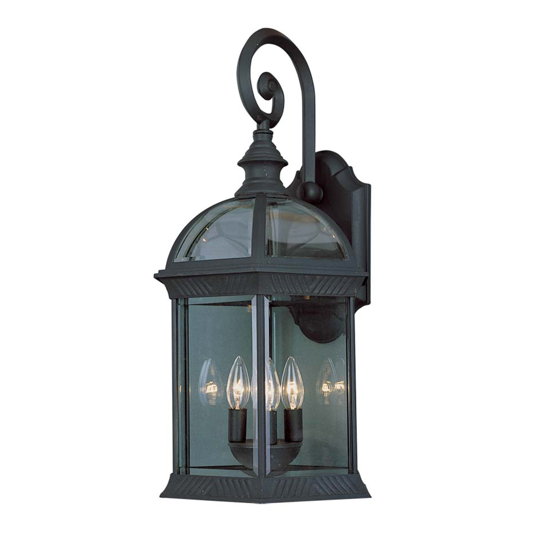Botanica I Large Outdoor Carriage Lantern Wall Sconce Light