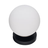 Terra Globe Surface Mount Fixture