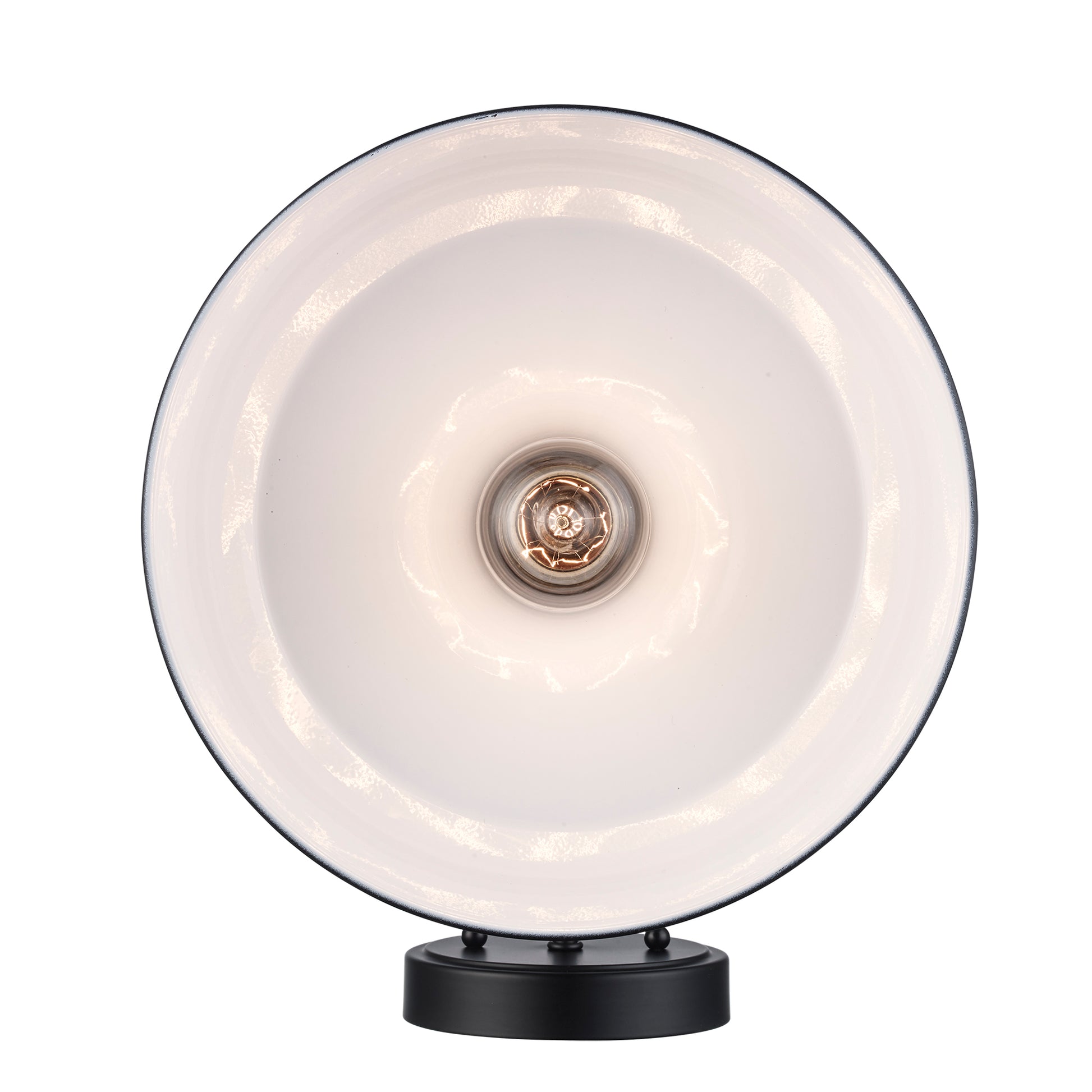 Tinley Exterior Barn Light Wall Sconce in Matte Black