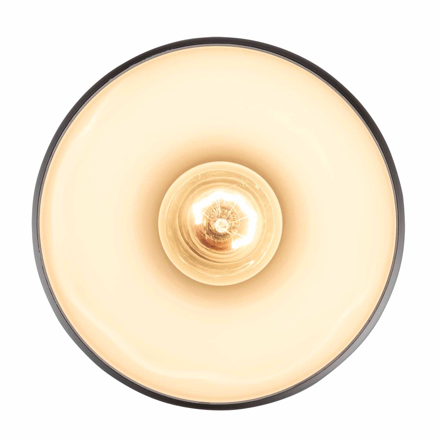 Teardrop Small Modern Metal Dome Downlight Pendant Lamp in Black