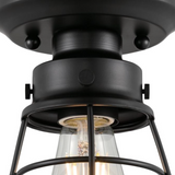 Vintage Industrial Steampunk Black Metal Cage Light - Exterior Wall Sconce or Flush Mount
