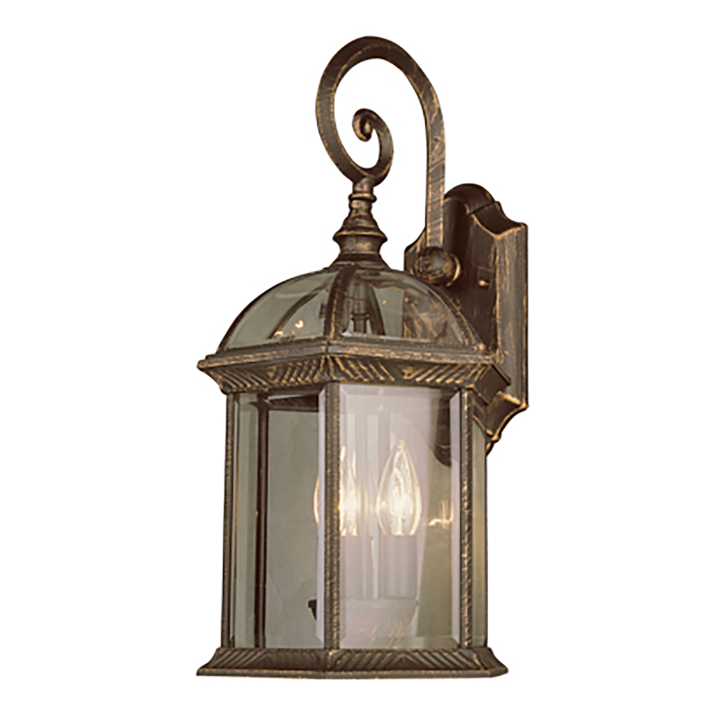 Botanica I Large Outdoor Carriage Lantern Wall Sconce Light