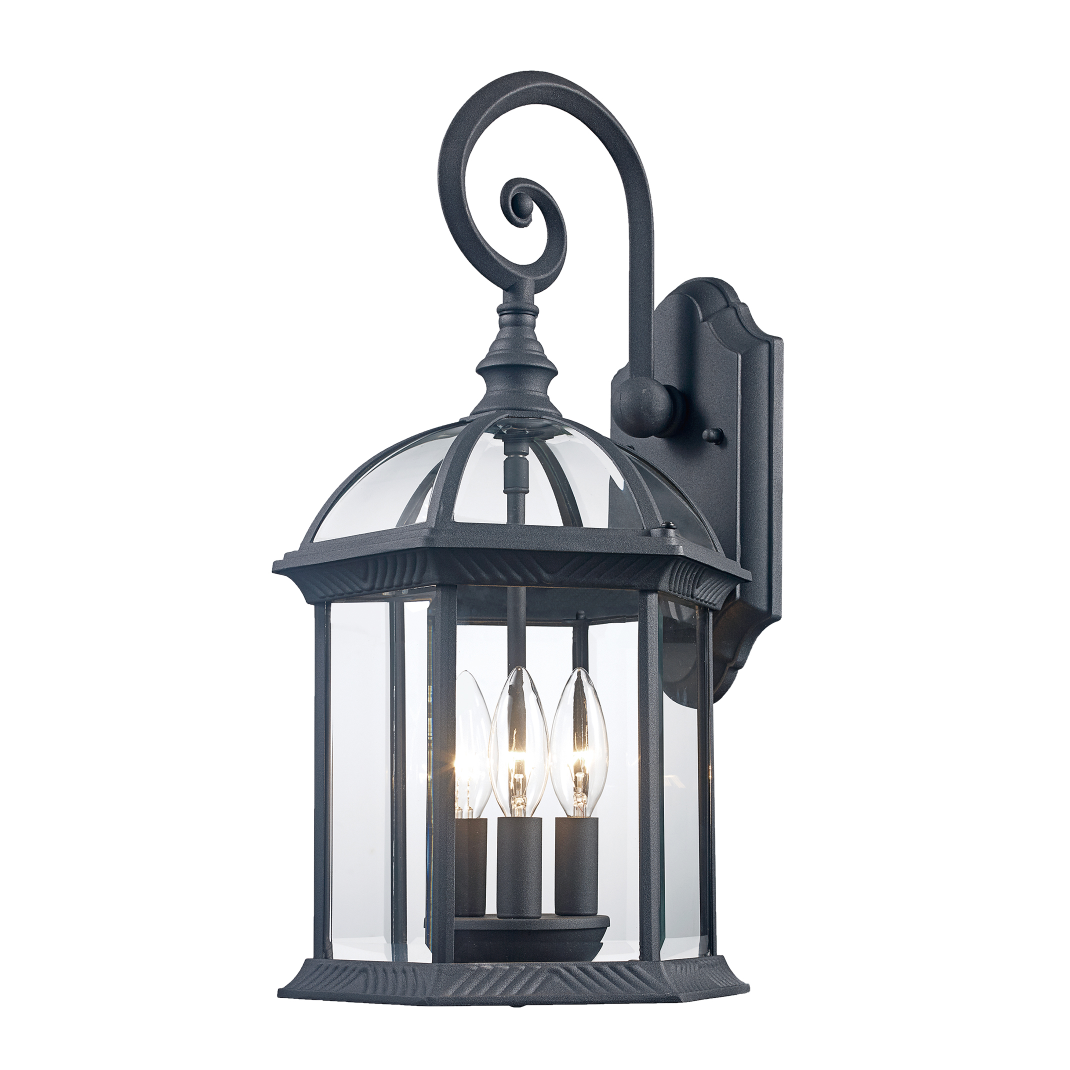 Botanica I Large Outdoor Carriage Lantern Wall Sconce Light
