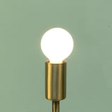 White Globe Lightbulbs - Frosted Round Bulbs for Sputniks